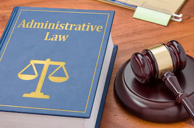 Read more about the article Constitutional and Administrative Law
